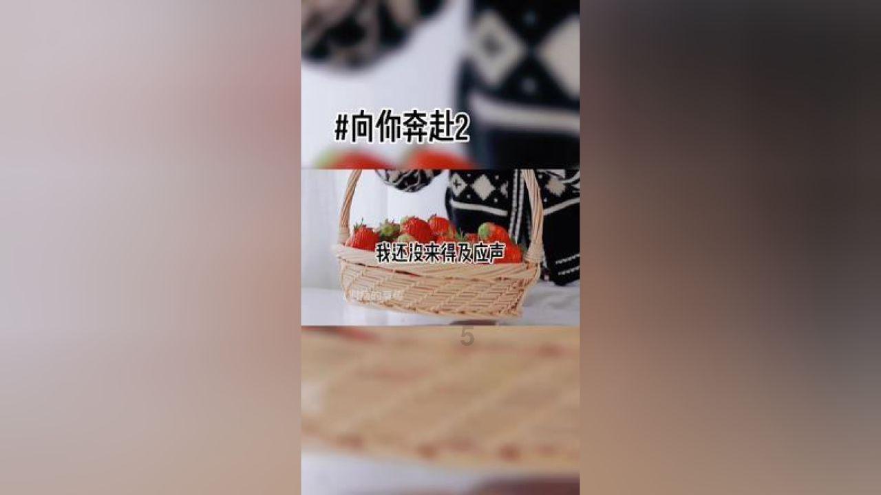 大城开展城区环境秩序综合整治暨迎新春环境提升行动